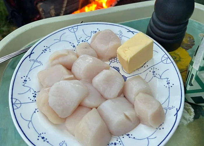 Energy Place In The Woods 30 Min From Oslo