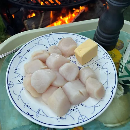 Energy Place In The Woods 30 Min From Oslo