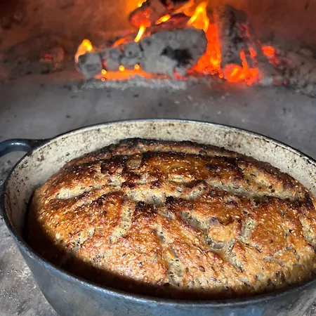 Energy Place In The Woods 30 Min From Oslo * NITTEDAL